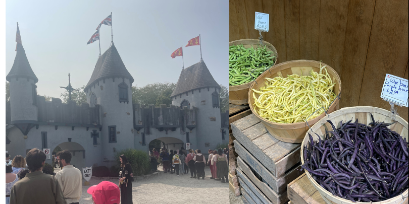 The Castle and the Farm