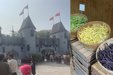 The Castle and the Farm