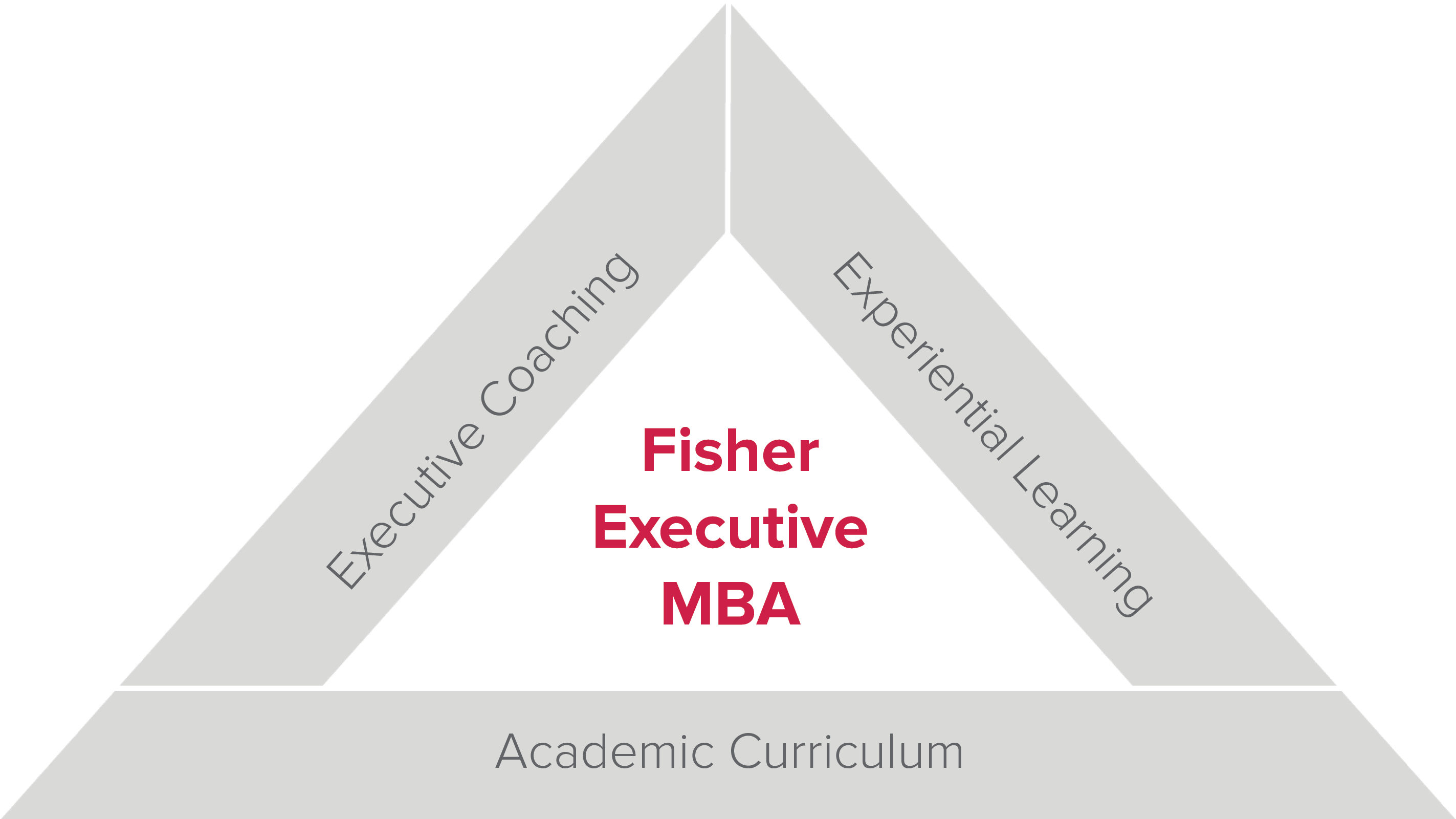 Fisher Executive MBA triad