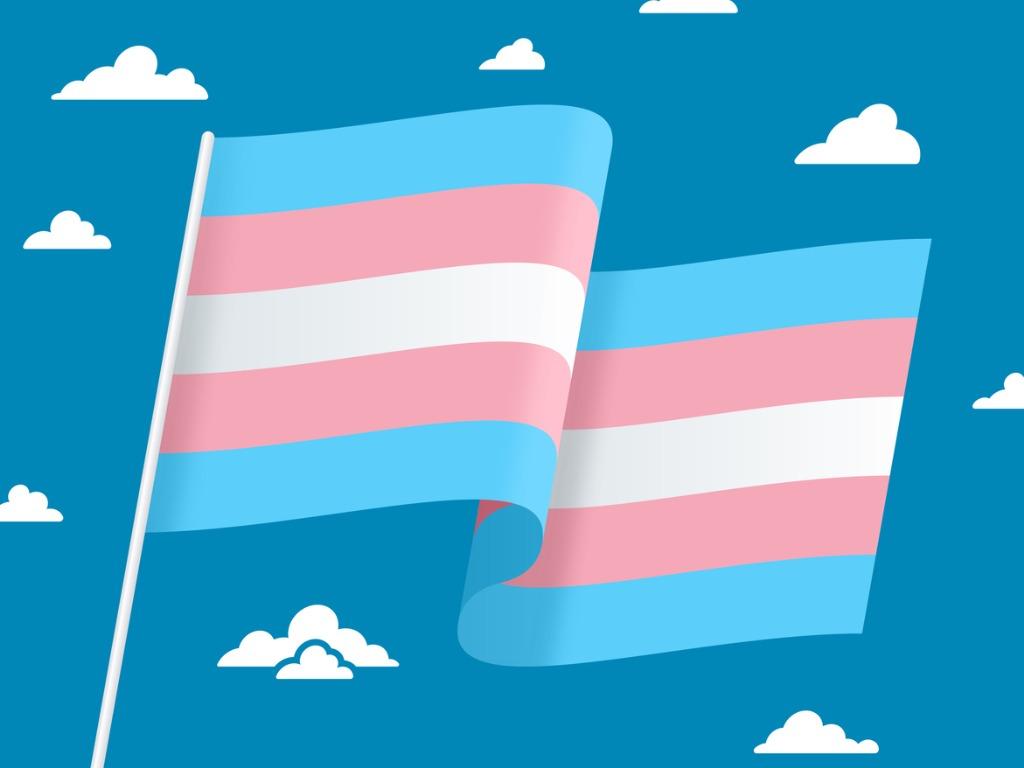 Transgender flag