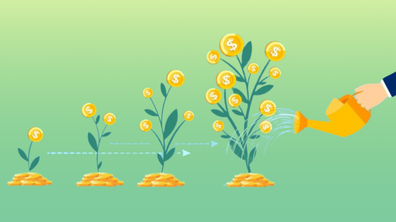 hand with pot watering profitable money tree stock