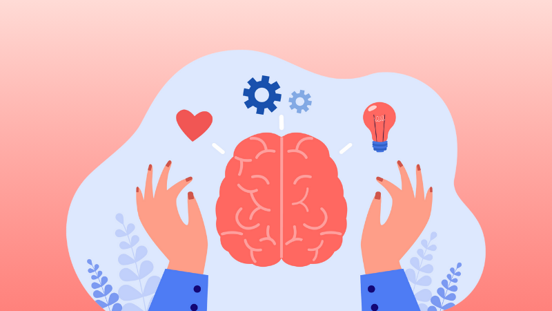 hands surrounding a brain