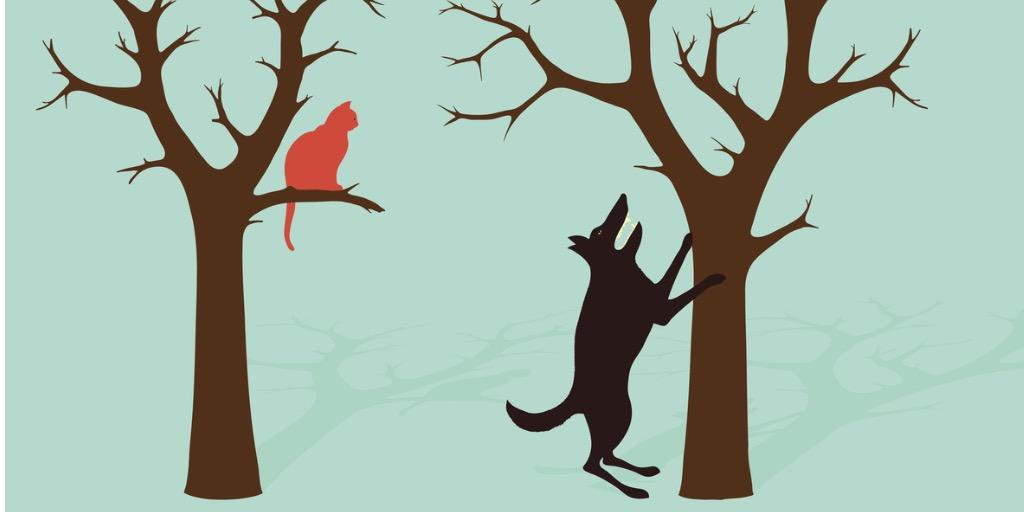 Dog barking up the wrong tree, while cat in a different tree