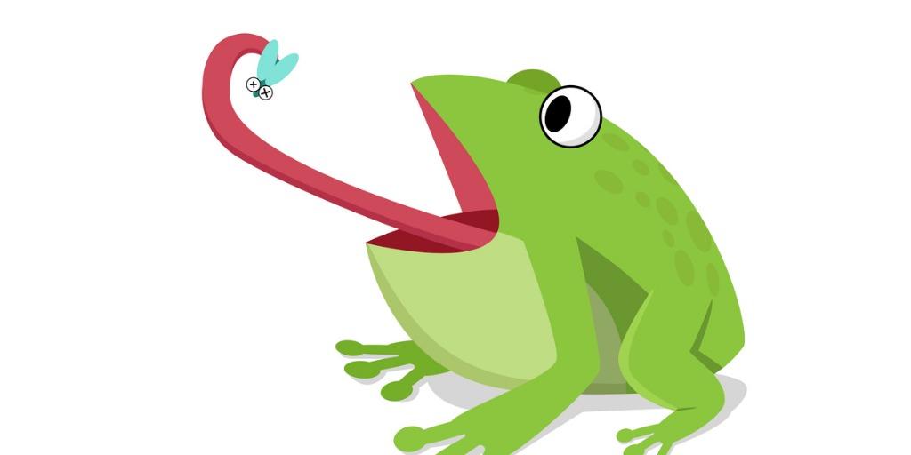 Frog eating fly