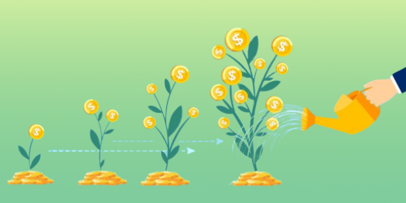 hand with pot watering profitable money tree stock