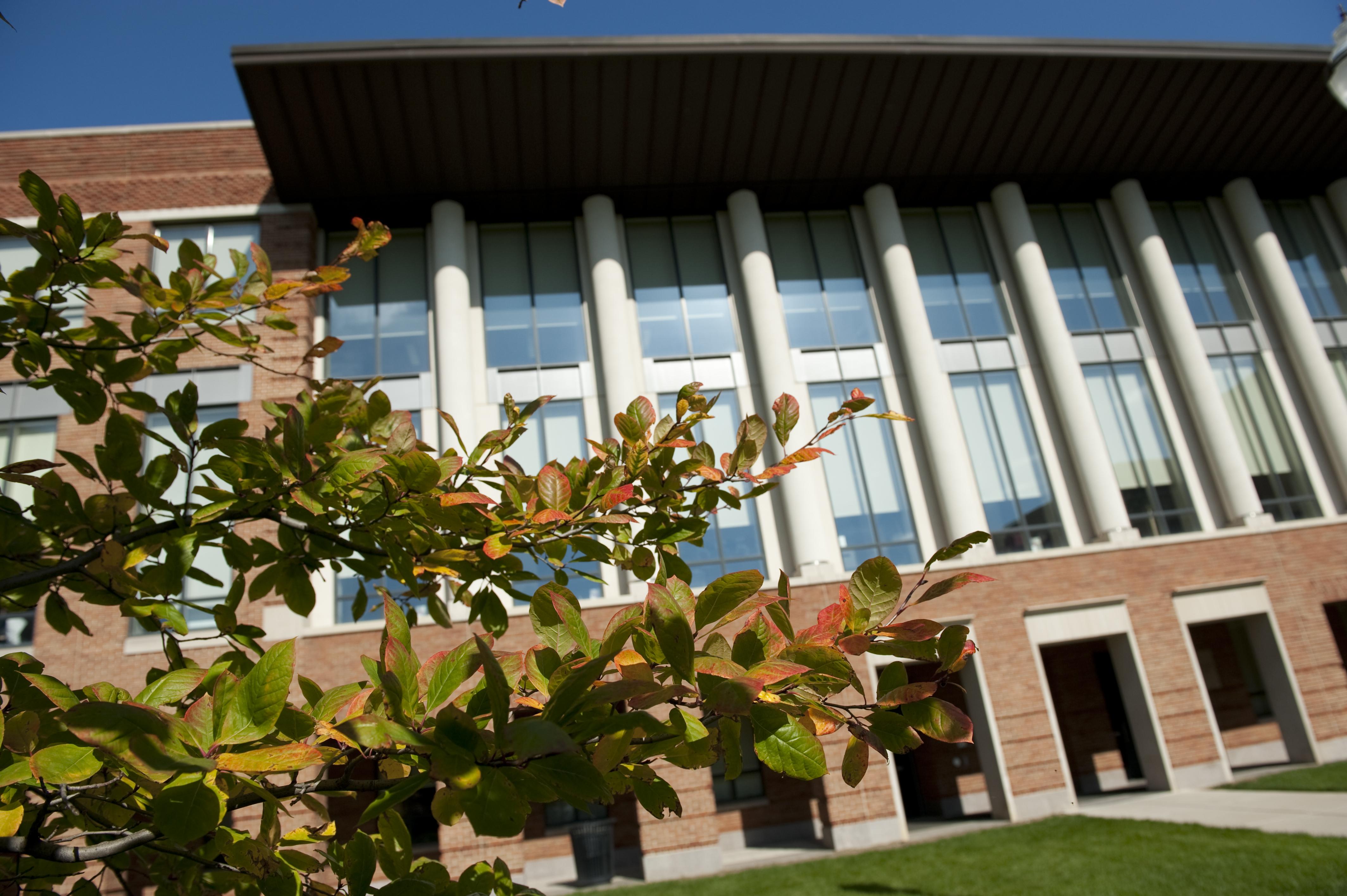 Growing talent and launching careers: Deloitte and Fisher | Fisher College  of Business