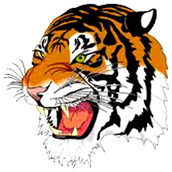 Beaver Falls logo