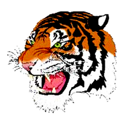 McKeesport logo