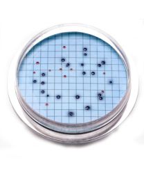 Hach m-ColiBlue24 Prepared Agar Plates