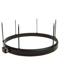 YOUNG Bird Ring Assembly