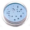 Hach m-ColiBlue24 Prepared Agar Plates