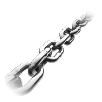 NexSens Stainless Steel Chain