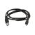 Juniper Geode Type C to USB Type A Cable