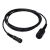 YSI 556 Cable Assembly with Bulkhead