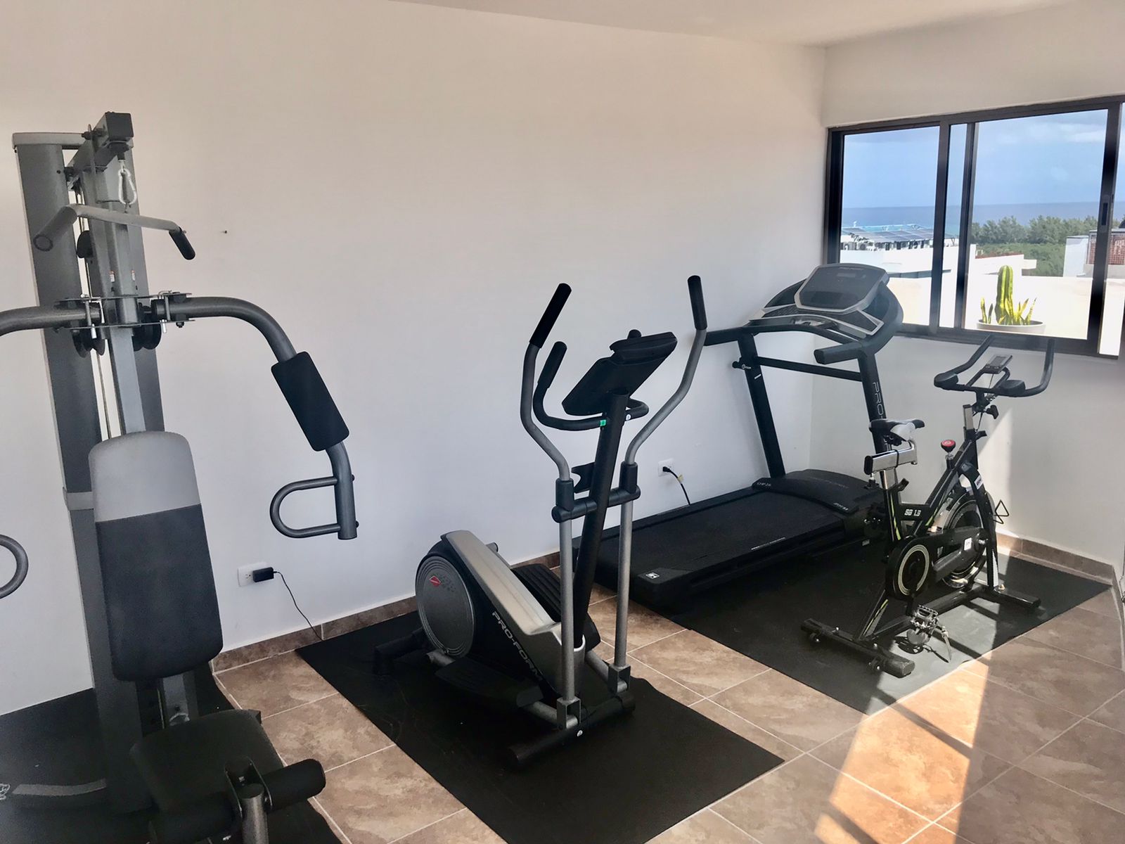 gym.jpeg