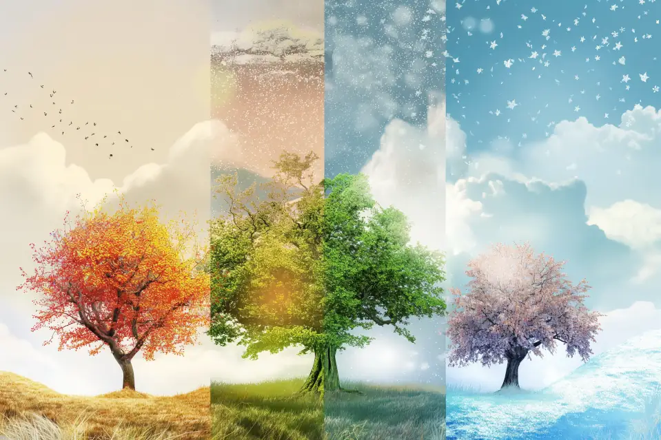 Fragrances and Seasons
