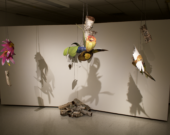 Œuvres de Rachel Broussard tirées de l’exposition Adaptation, présentée à la Gordon Snelgrove Gallery du 3 au 13 septembre 2019. — Photo : Marcus Miller, Gordon Snelgrove Gallery, 2019