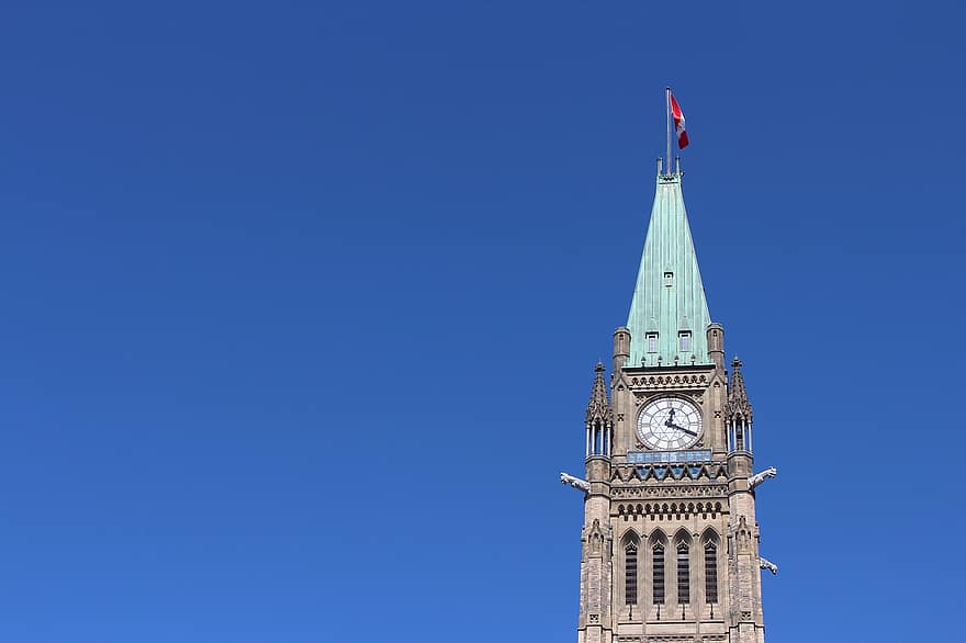 Nommé au Sénat en 2016, l’artiste acadien a été élu une première fois à la présidence de ce comité en décembre 2017. — Pikist