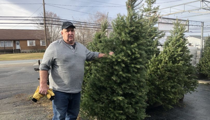 Le commerçant Robert Frenette s’attend à écouler environ 300 arbres de Noël cette année. — Sébastien Lachance