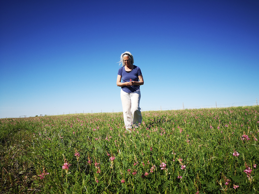 Solange Campagne est propriétaire d’une ferme bio non irriguée au sud-ouest de la Saskatchewan. — Courtoisie