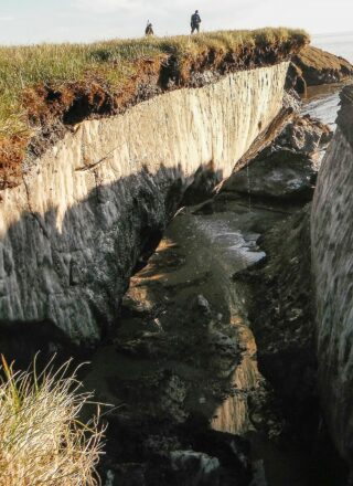 L’érosion cotière révèle l’étendue de la couche active sous-jacente de pergélisol riche en glace sur la plaine côtière arctique dans la zone spéciale du lac Teshekpuk. — Brandt Meixell, USGS - Wikimedia Commons
