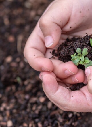 L'éducation à l'environnement peine à se tailler une place dans les curriculums d'enseignement au Canada. — Photo : Myriams-Fotos, Pixabay