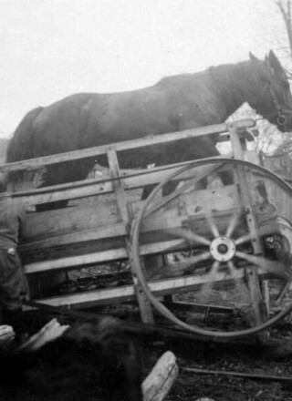 Scie actionnée par un cheval à la ferme d’Aldéric Gratton à Wendover en 1938. — PHOTO : SAUVETAGE 1978 DU CENTRE CULTUREL DE LA SAINTE-FAMILLE, DON DE GÉRARD GRATTON