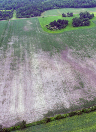 Photo : James Parsons, Parview Farms à Cache Bay