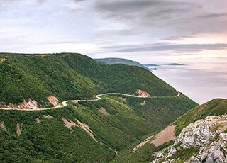 Photo : Shutterstock