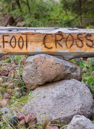 Photo : Shutterstock