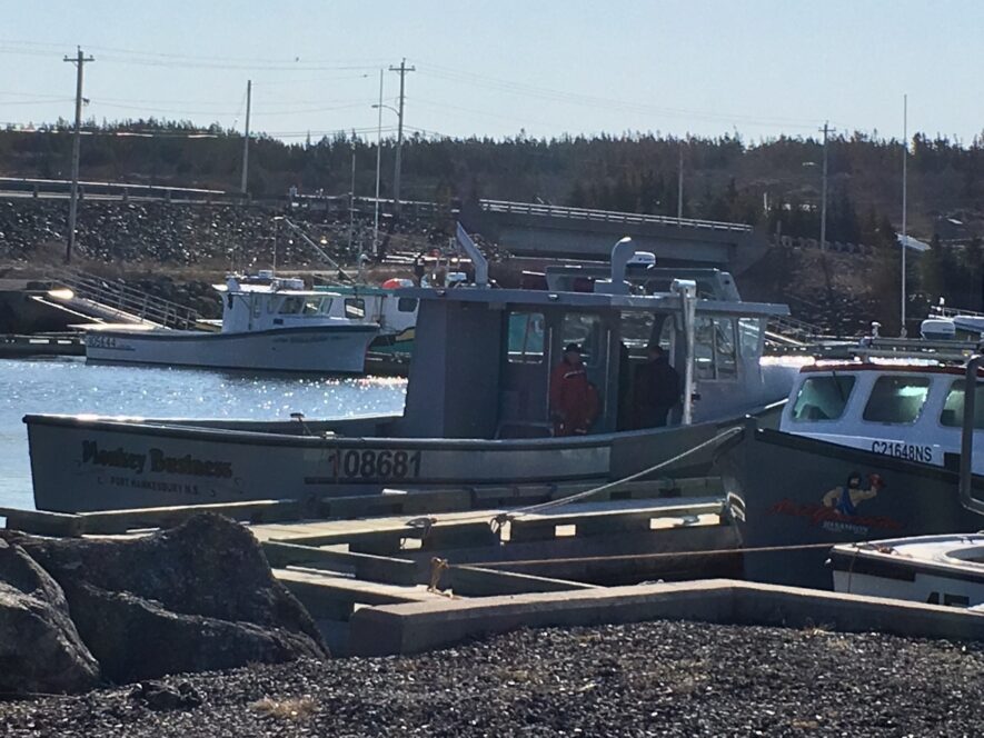 Le bateau neuf, Monkey Business, de Cory David de La Pointe. — Robert Fougère