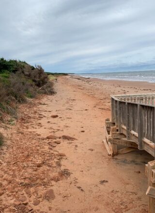 La plage Stanhope au Parc national de l’Île-du-Prince-Édouard avant le passage de la tempête post-tropicale Fiona. — PHOTO - Parcs Canada