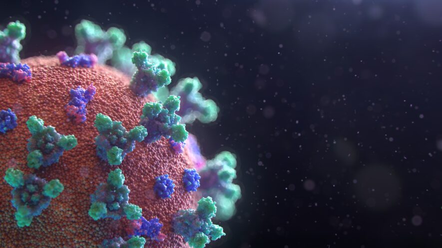   photo Fusion Medical Animation on Unsplash
