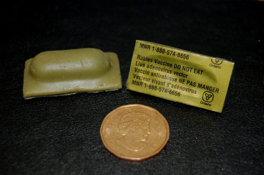 If it’s small and green and smells like marshmallow, it may be the anti-rabies vaccine bait that the Ministry of Natural Resources is dropping by air over part of the rural area of Eastern Ontario this summer to reduce the risk of rabies developing in skunks, raccoons, and foxes. Be sure to keep children or pets who find the treated bait from eating it. — supplied photo
