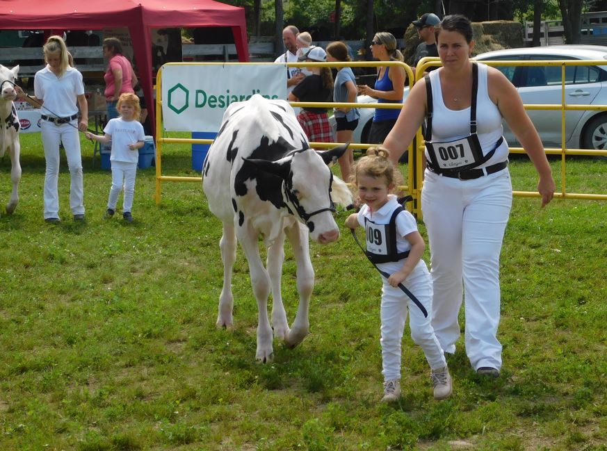 It was a bit smaller this year but Vankleek Hill Fair is back after the pandemic shut down all outdoor and indoor community events last year. This year’s fair over the August 21 weekend featured children’s and youth animal husbandry displays, a horse show, car rally, antique tractor pulls, live music, and a Sunday parade of traditional farm equipment. — Photo Gregg Chamberlain