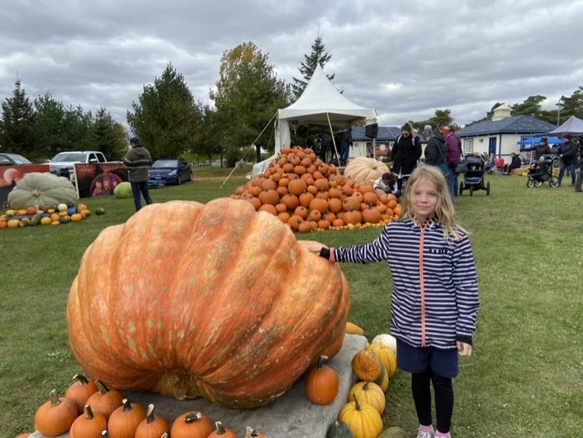 Des citrouilles géantes! — Photo courtoisie