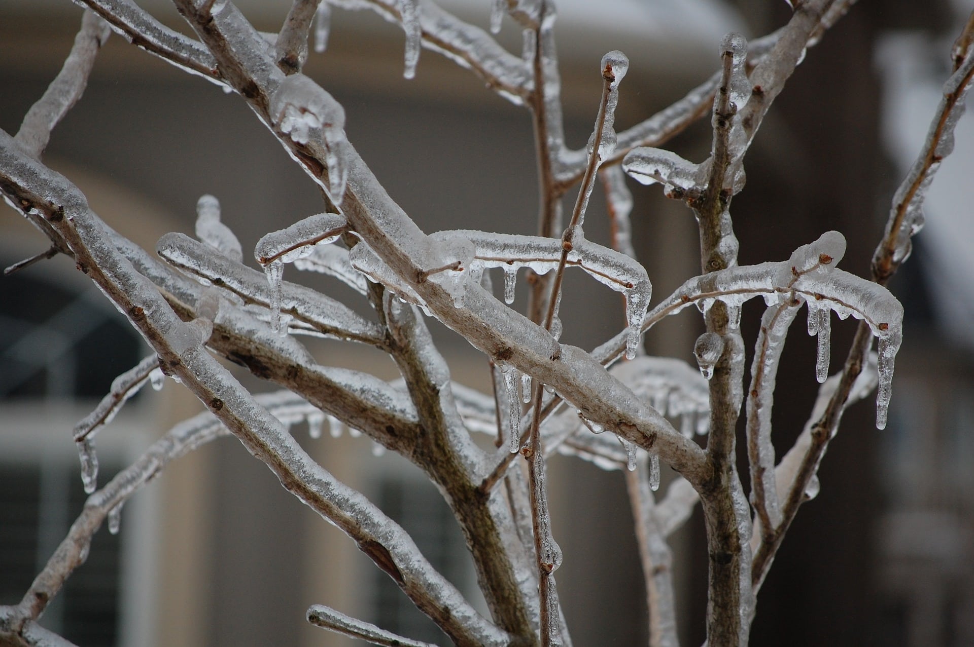 Freezing rain knocks out power in and StIsidore