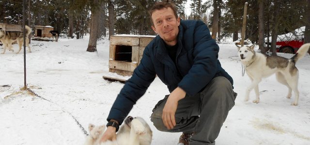 Localisé à Carcross, le chenil Boréal Kennel de Bertrand Bellencourt offre des séjours longue durée en traîneau aux amateurs d’aventure et amoureux de la nature sauvage. Photo: Françoise La Roche
