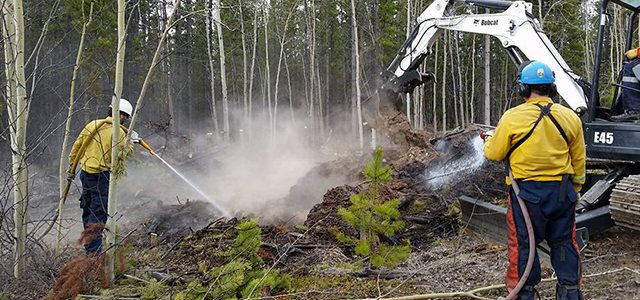 Les pompiers forestiers ont rapidement éteint le feu qui s’était déclaré le jeudi 21 avril sur la rue Ford Farm dans le district de Whitehorse. Il s’agissait du premier feu de forêt de la saison. Photo: Section de la gestion des feux de forêt du Yukon