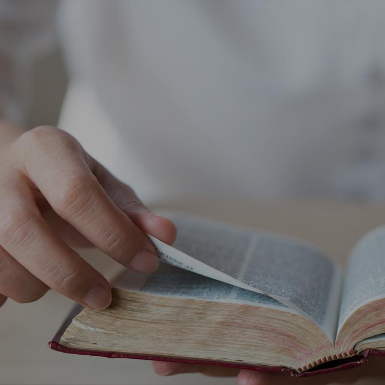 Intro to Bible Class