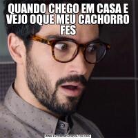 QUANDO CHEGO EM CASA E VEJO OQUE MEU CACHORRO FES