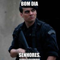 BOM DIASENHORES.