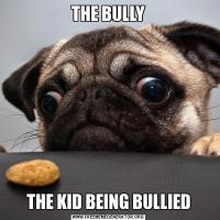 THE BULLYTHE KID BEING BULLIED