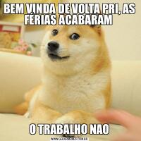 BEM VINDA DE VOLTA PRI, AS FÉRIAS ACABARAM O TRABALHO NAO