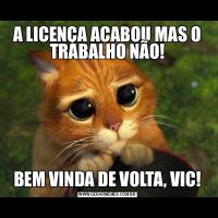 A LICENÇA ACABOU MAS O TRABALHO NÃO!BEM VINDA DE VOLTA, VIC!