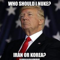 WHO SHOULD I NUKE?IRAN OR KOREA?