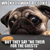 WHEN YOU WANT A COOKIEBUT THEY SAY 