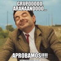 GRUPOOOOO, ARAÑAANDOOO...APROBAMOS!!!!