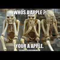 WHOS A APPLE ?YOUR A APPLE.