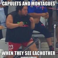 CAPULETS AND MONTAGUESWHEN THEY SEE EACHOTHER